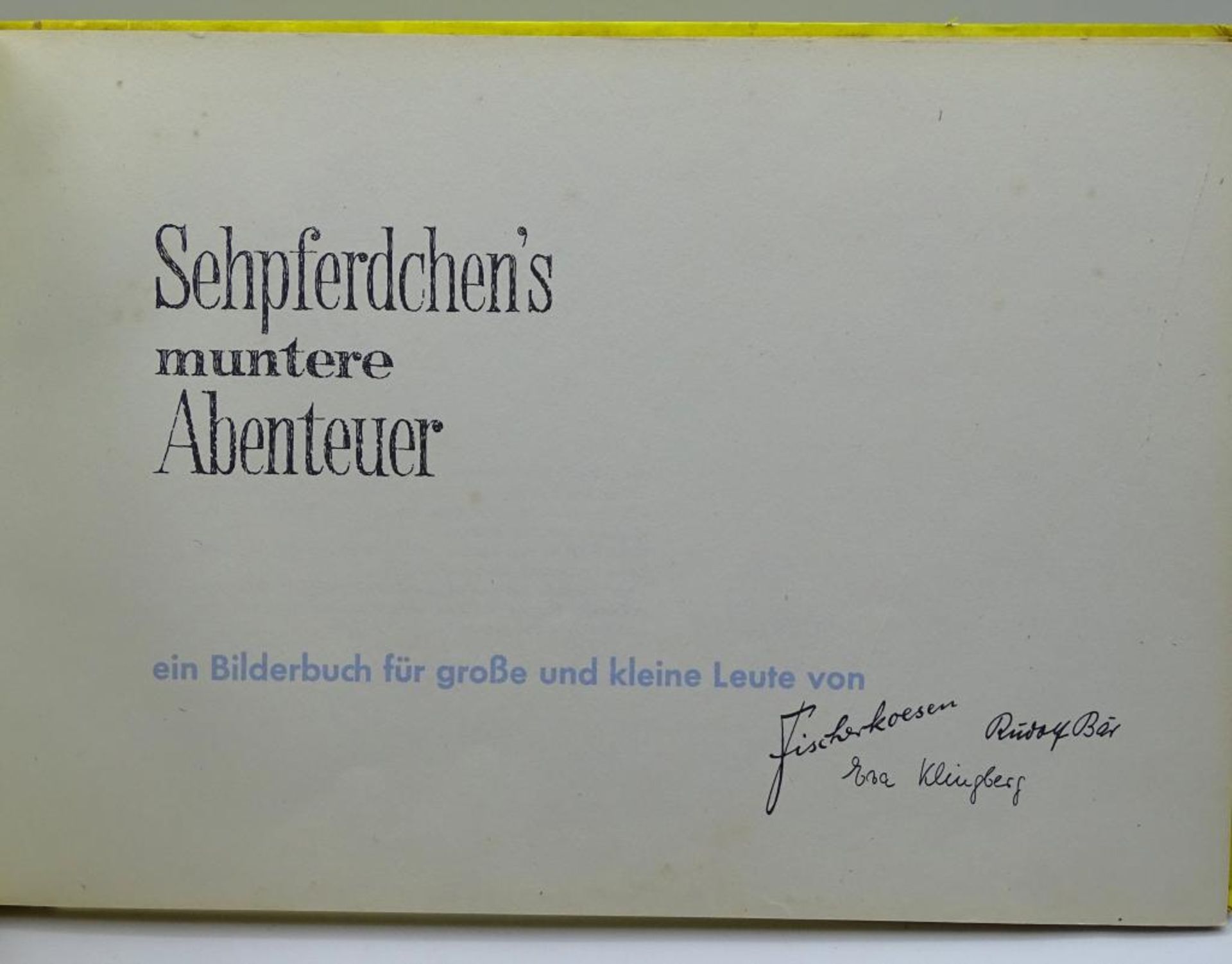 Sehpferdchen´s Abenteuer,196 - Bild 2 aus 8