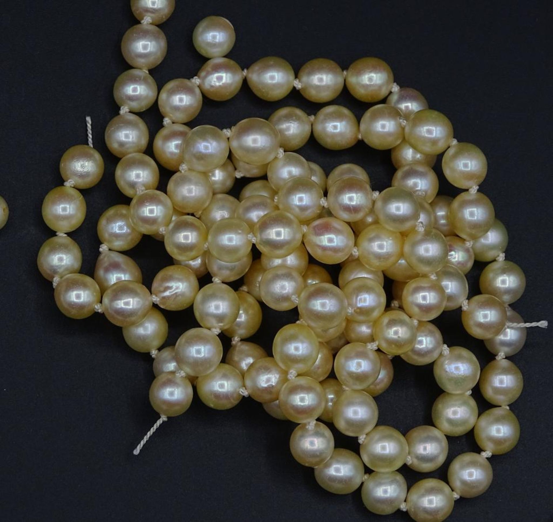 10x Akoya Zuchtperlen Halsketten ohne Schließen,z.t.im sehr feinen Qualität - Bild 6 aus 10