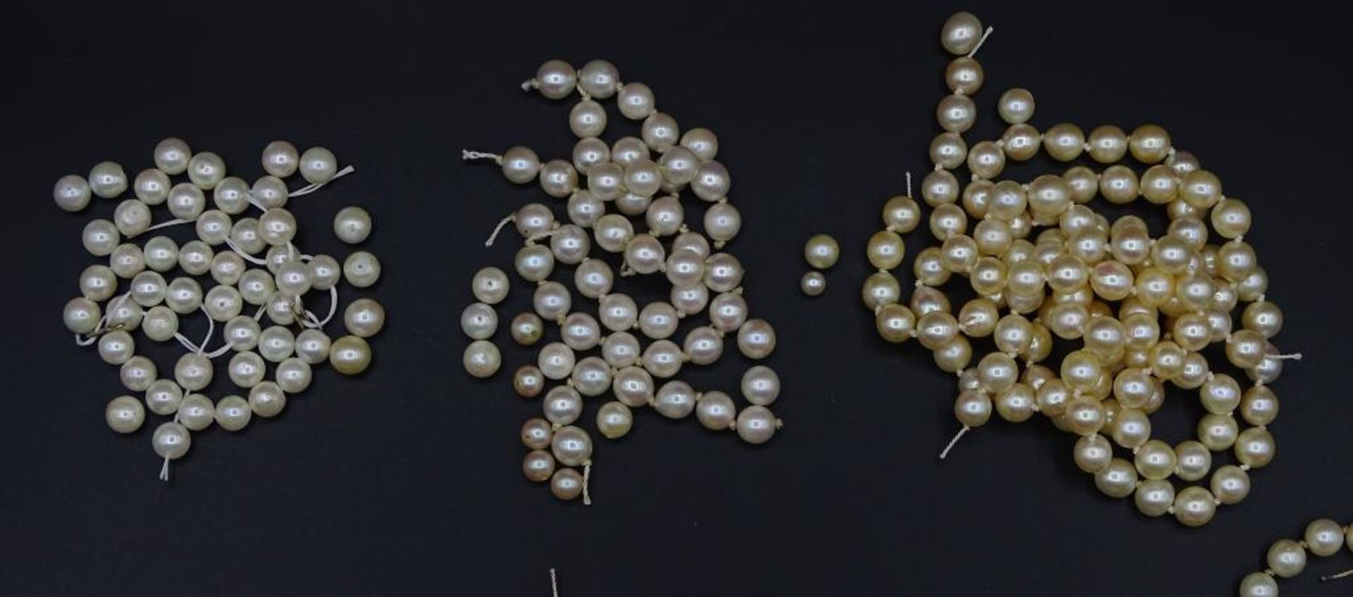 10x Akoya Zuchtperlen Halsketten ohne Schließen,z.t.im sehr feinen Qualität - Bild 2 aus 10