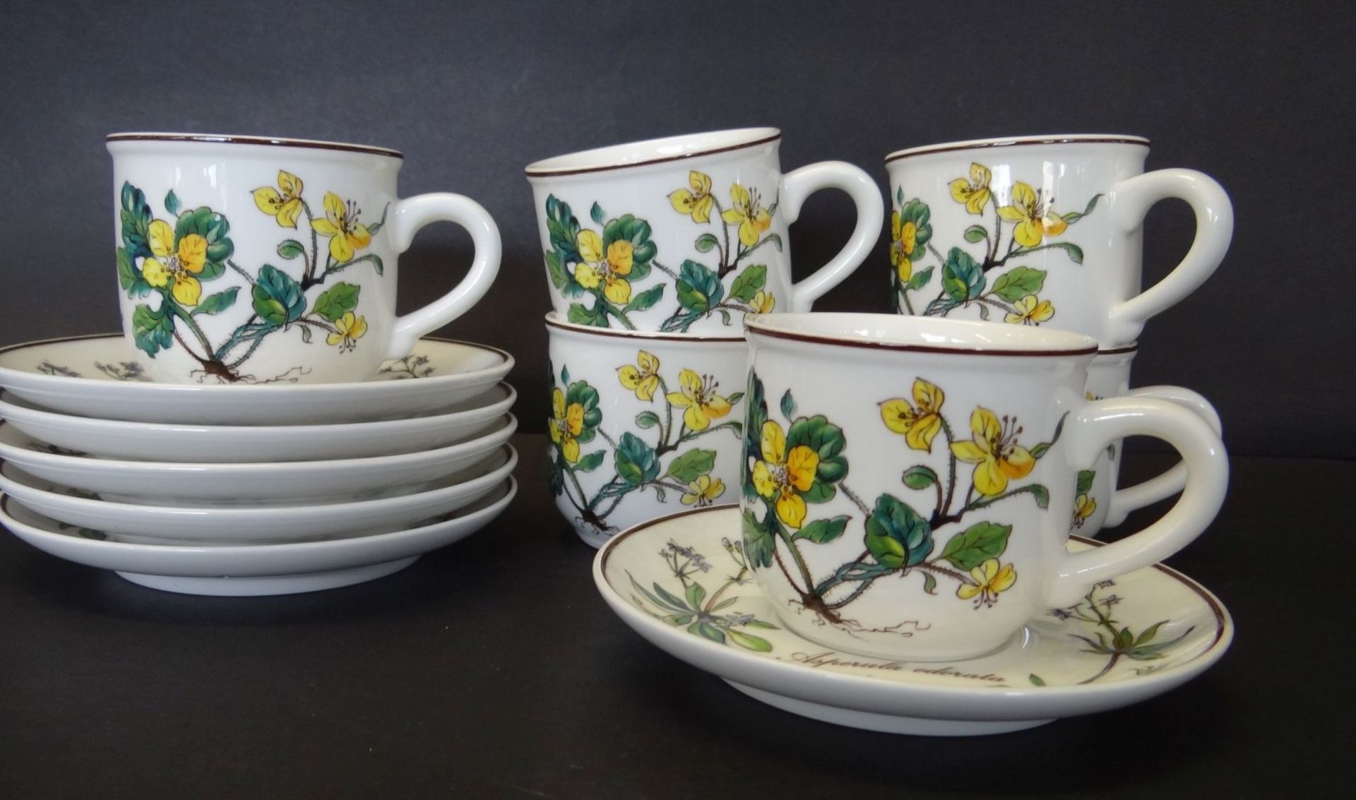 6 kl. Tassen mit U.T. "Villeroy&Boch" Botanica, 12 Teile