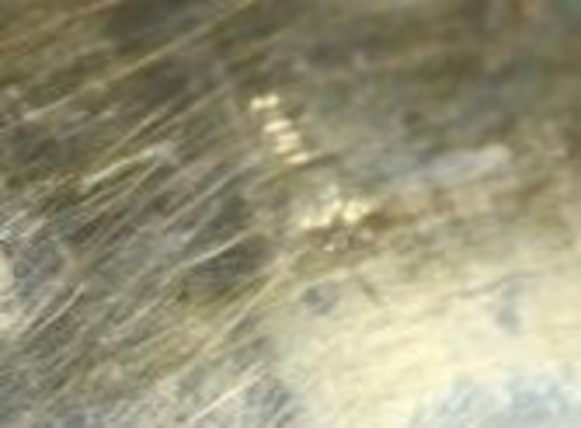 Schale auf 4 Füssen, 800er Silber, 407,3gr., H-6cm B-29,5cm T-20,5cm. - Bild 3 aus 3