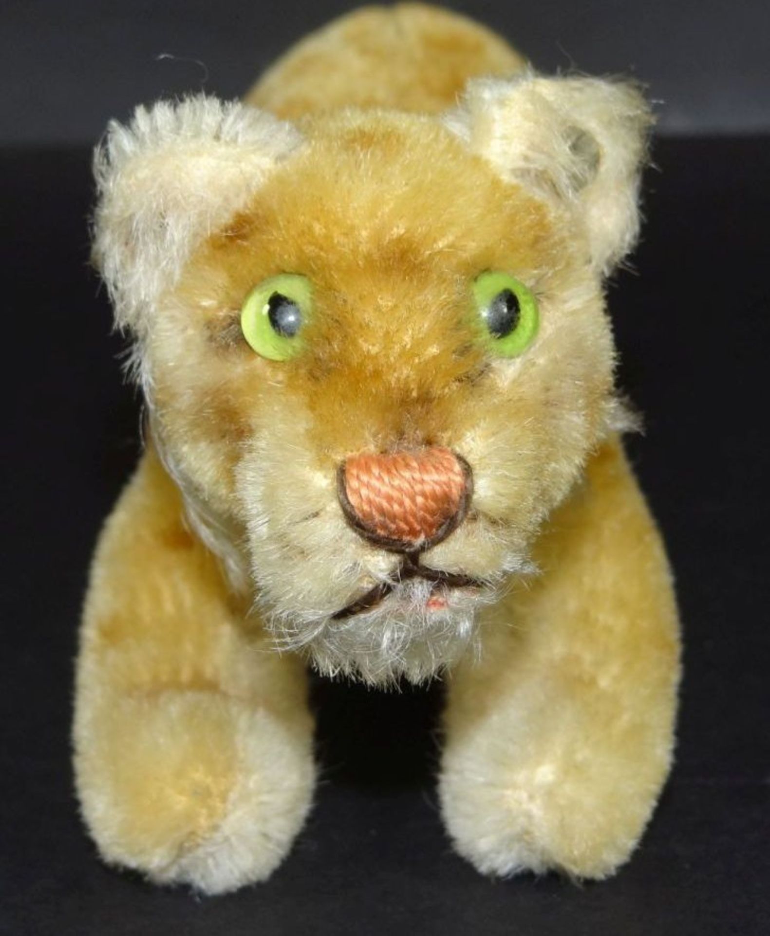 junger Löwe "Steiff" nur Knopf, H-7 cm, L-17 c - Bild 4 aus 5
