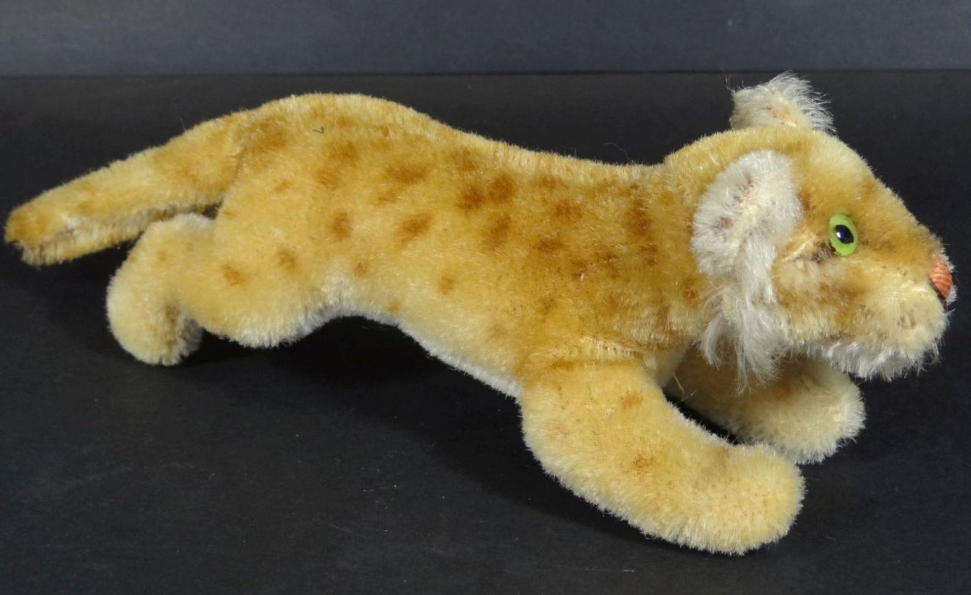 junger Löwe "Steiff" nur Knopf, H-7 cm, L-17 c - Bild 2 aus 5