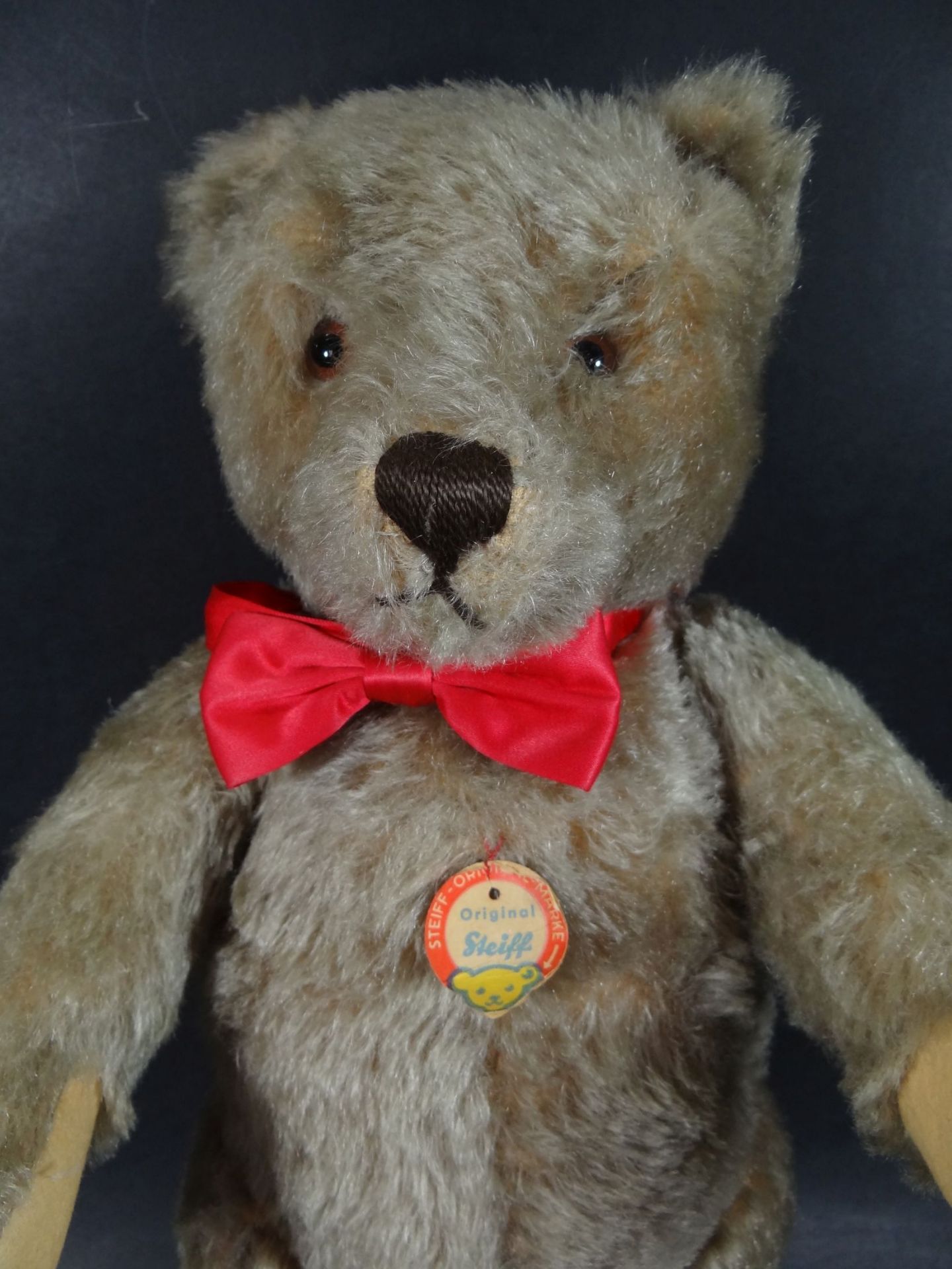 Steiff Teddy, Höhe 40cm, neuwertig, mit Brumm-Stimme, nur Etiket - Bild 2 aus 5