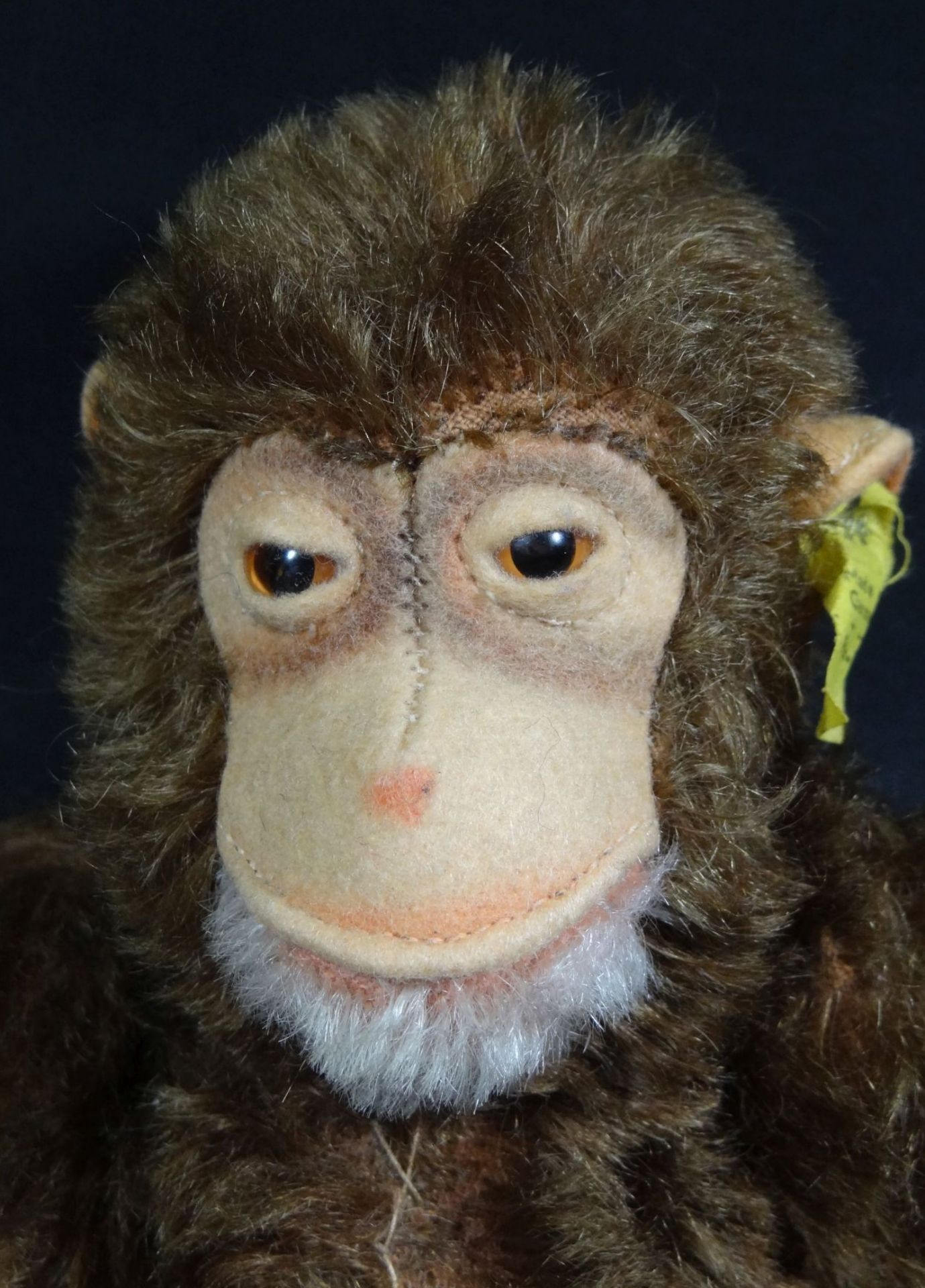 Steiff Schimpanse, K+F., Nr. verwaschen, H-25 cm - Bild 3 aus 4