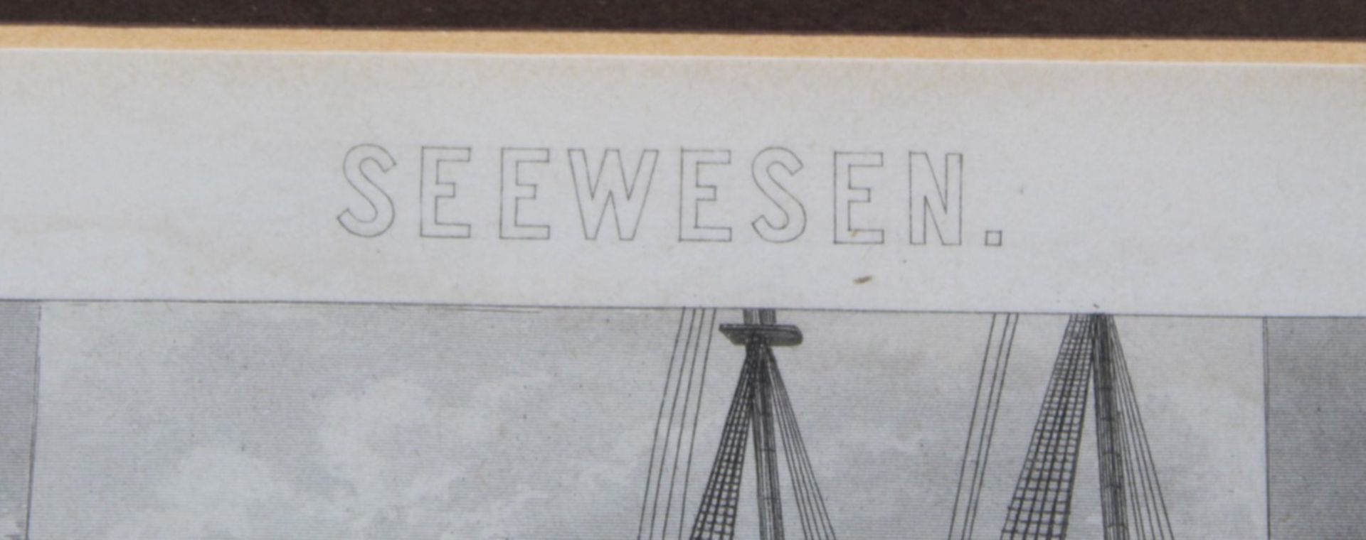 grosser Holzstich "Seewesen", um 1880, ger/Glas, RG 40x47 cm - Bild 3 aus 4