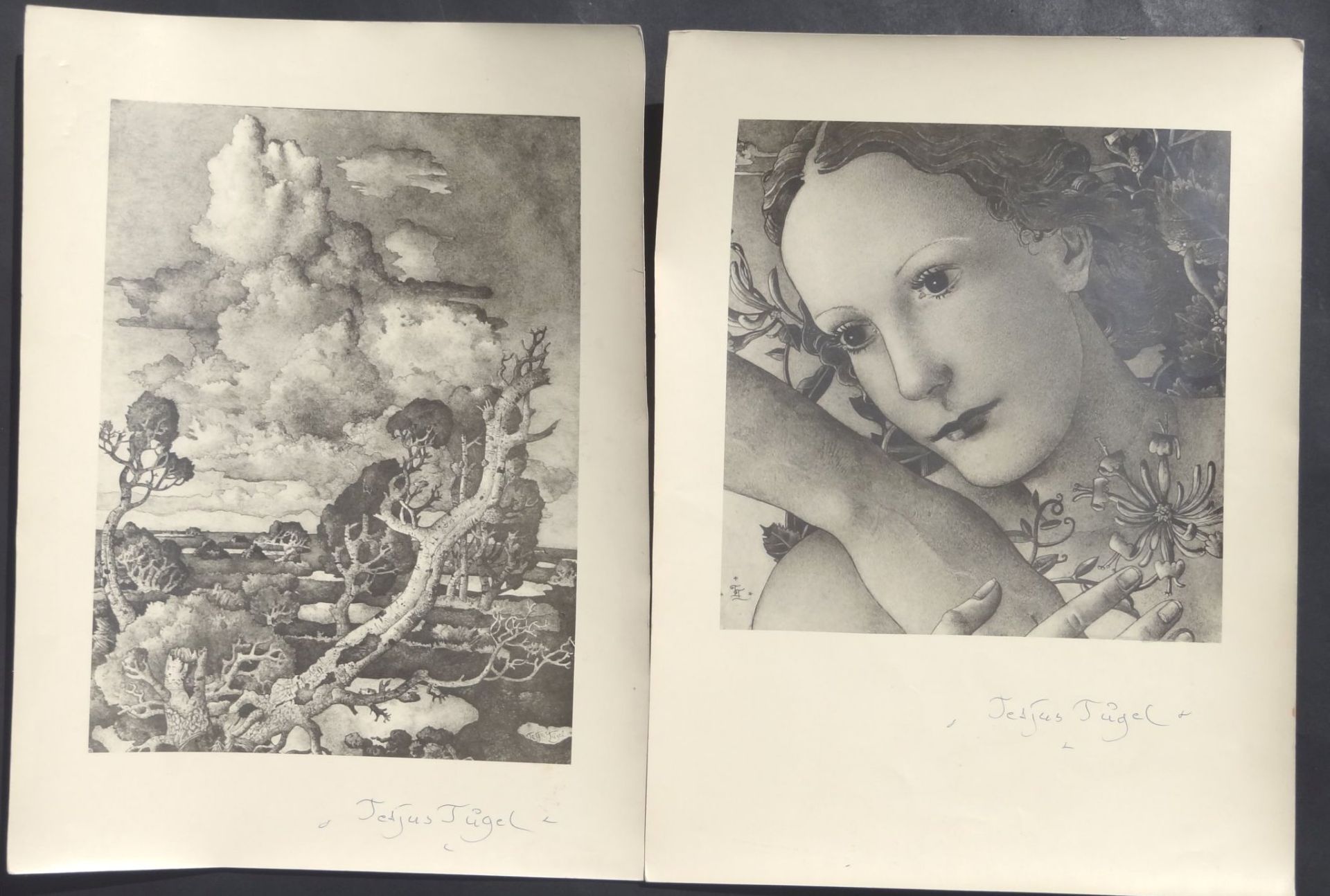 Rudolf DODENHOFF (1917-1992), 2x grosse Fotos von Tetjus Tügel Gemälden, beide signiert von Tügel,