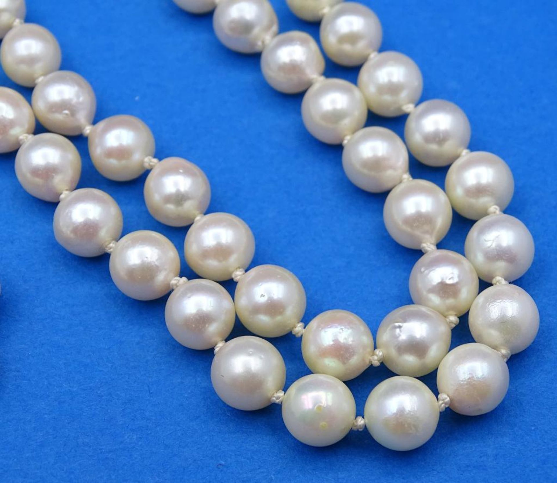 Perlen Halskette mit einer 585er WG Schließe,diese mit einen Rubin besetzt,L- 70cm, Perlen d-6,5-6, - Image 4 of 4