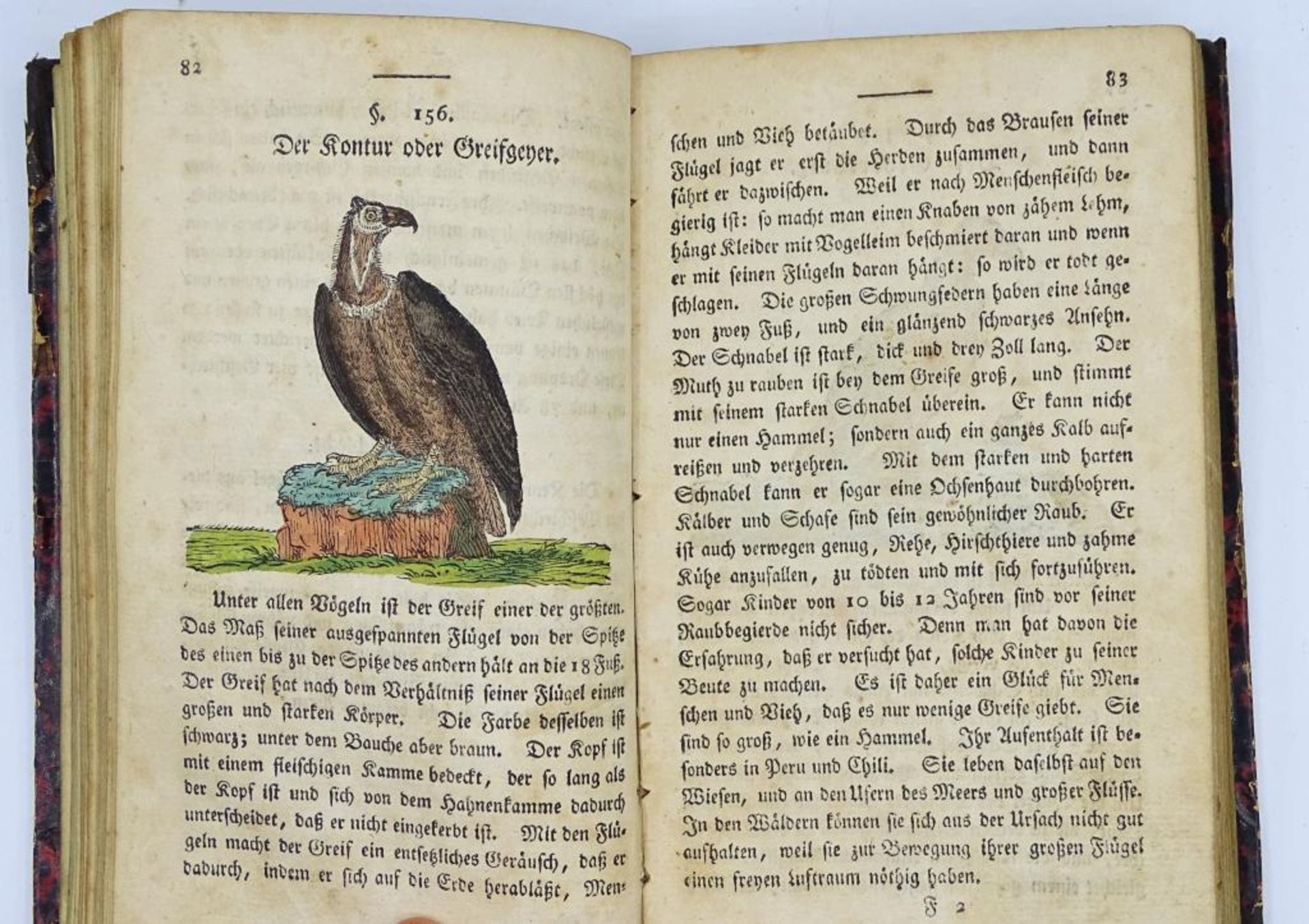 Joh.H.Helmuths "Gemeinüzige Naturgeschichte des In-und Auslandes",7 Bände, 18 - Bild 9 aus 10