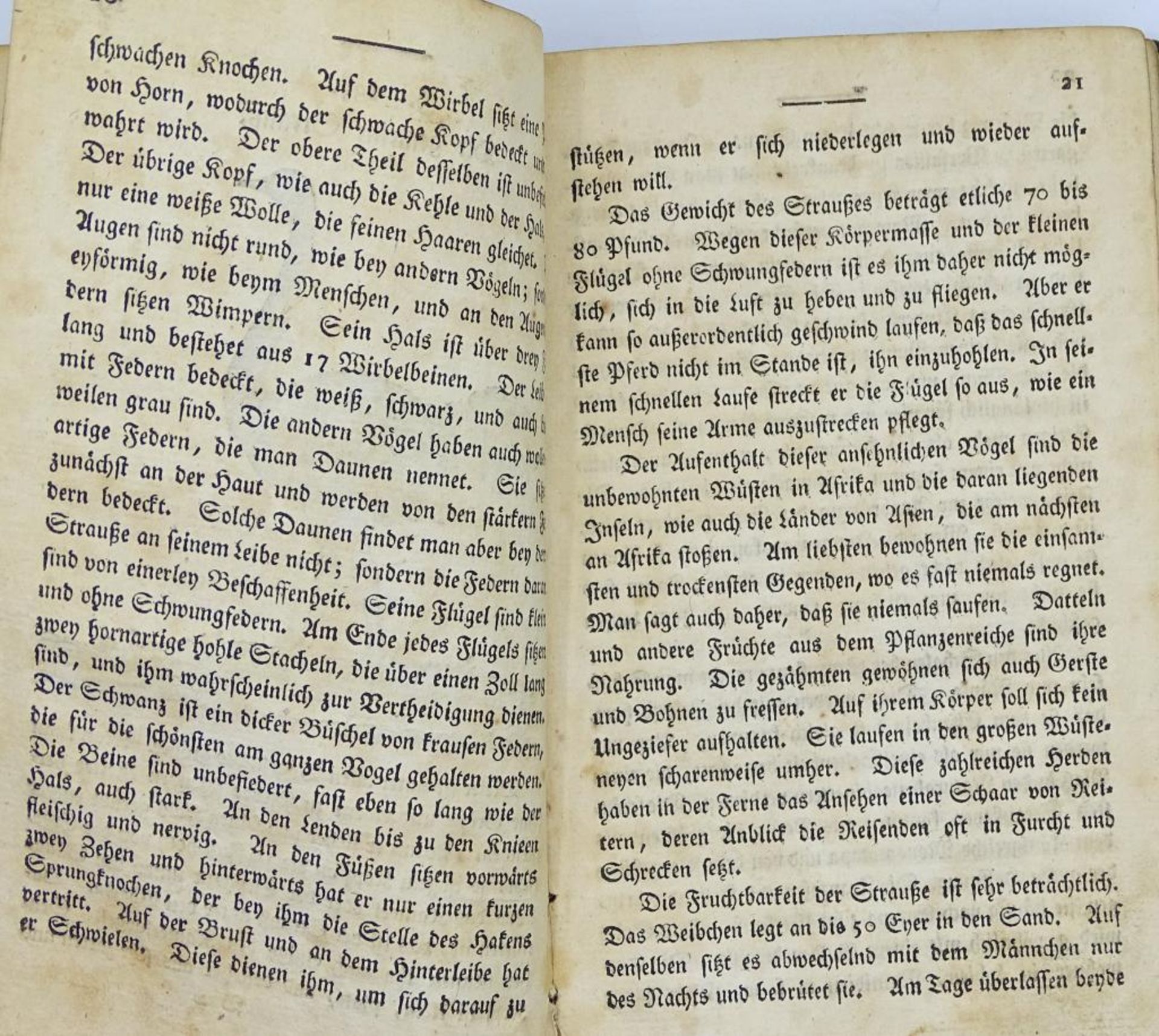 Joh.H.Helmuths "Gemeinüzige Naturgeschichte des In-und Auslandes",7 Bände, 18 - Bild 7 aus 10
