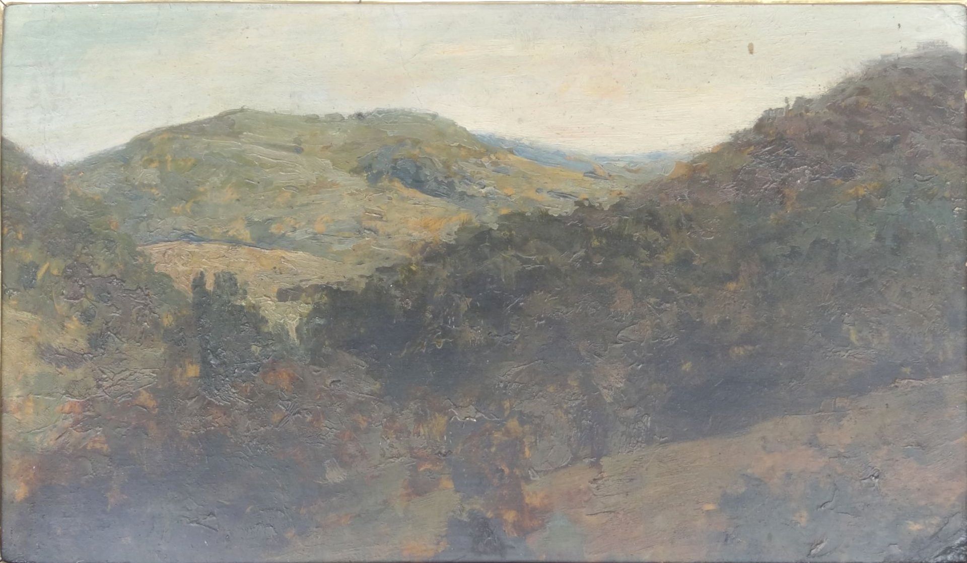 Curt AGTHE (1862-1943) " Odenwald" Öl/Malfaser, 22x39 cm, gerahmt, RG 33x50 c - Bild 3 aus 5