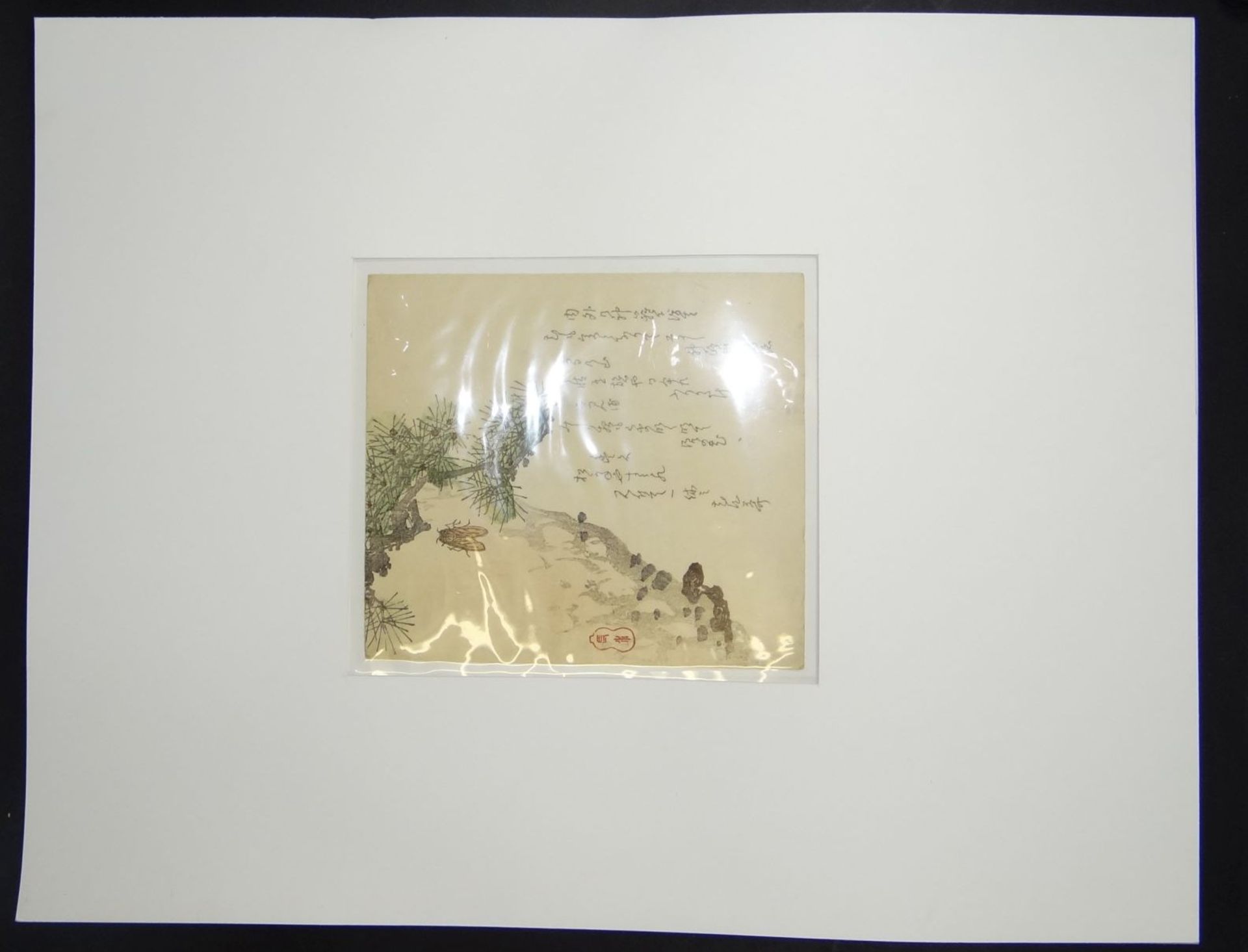 Surimono, japan. Farbholzschnitt um 1850 in PP, Zikade und Kiefernzweig, 18,5x17 cm, PP 40x50 cm - Bild 4 aus 4