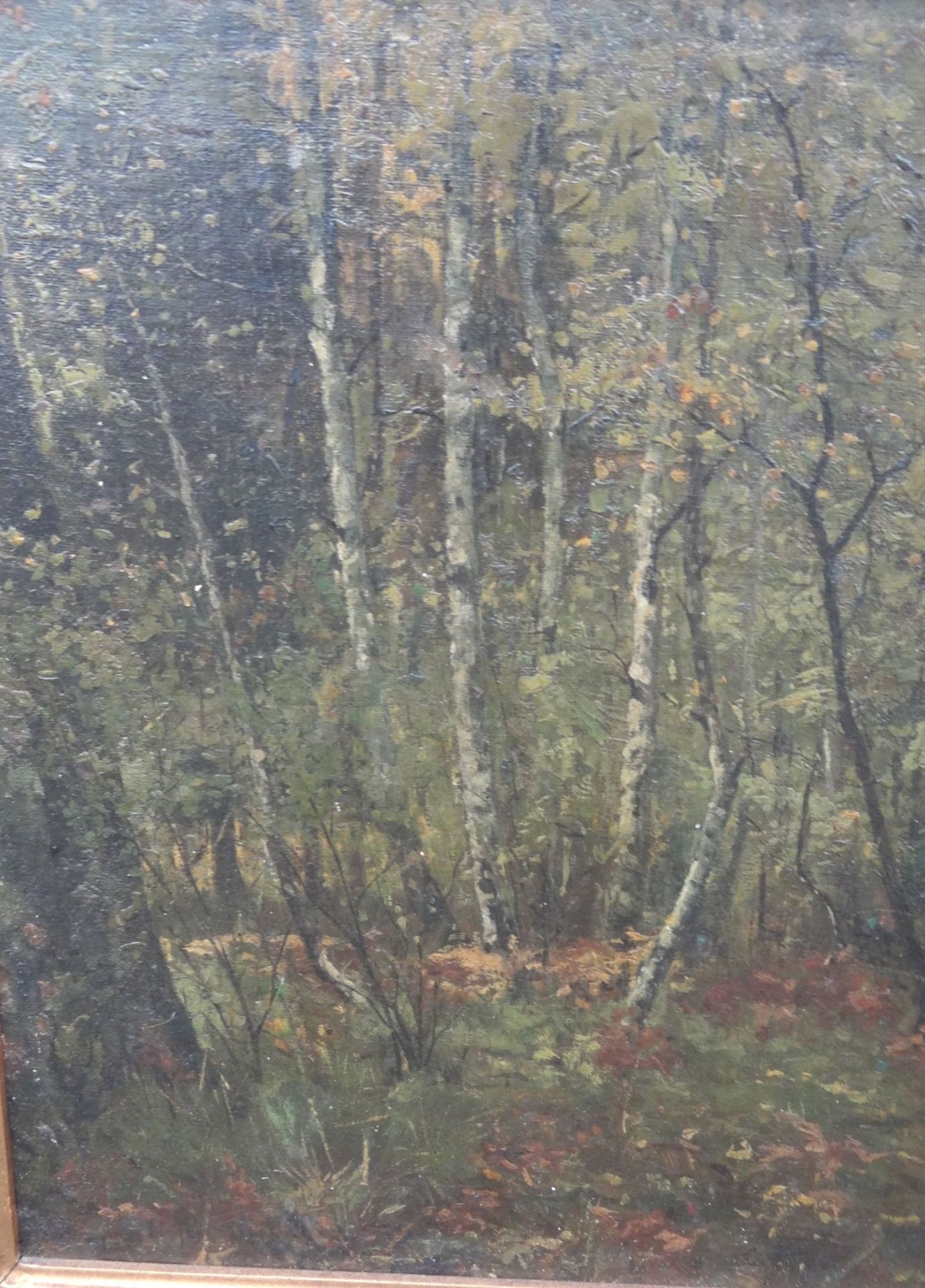 anonym"Birken-Wald" Öl/Malfaser, gerahmt, RG 52x44 c - Bild 4 aus 4