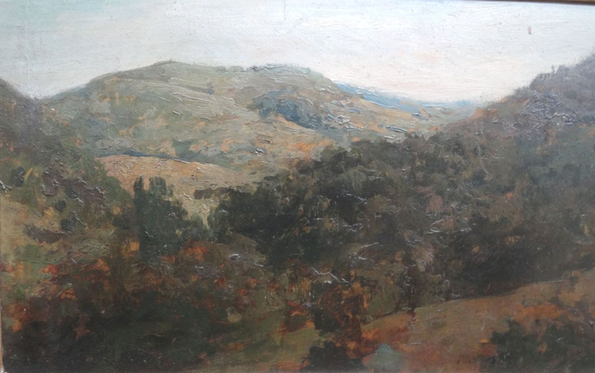 Curt AGTHE (1862-1943) " Odenwald" Öl/Malfaser, 22x39 cm, gerahmt, RG 33x50 c