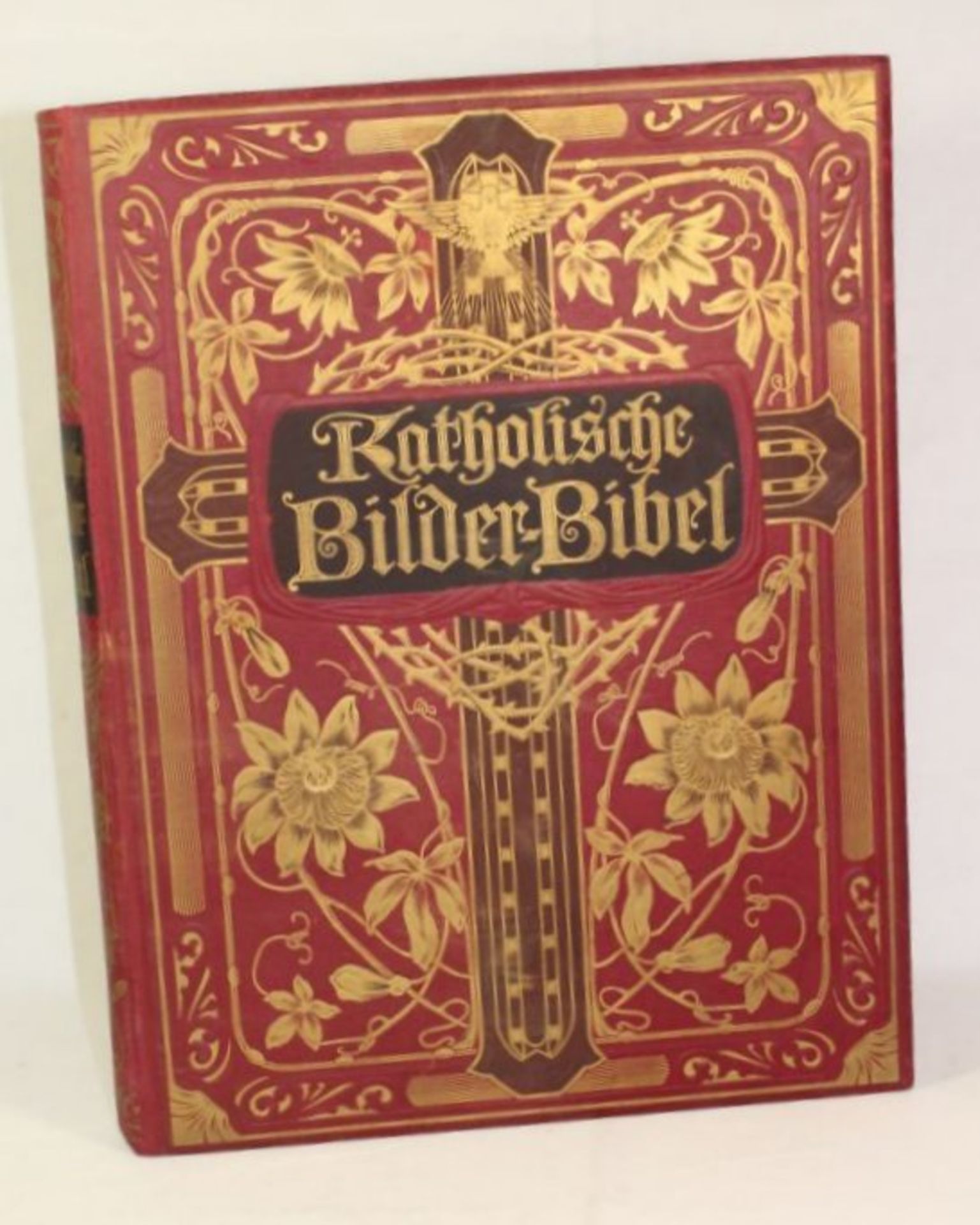 Albert, Franz / Reimringer, Franz, Katholische Bilder-Bibel, um 1910, 1x Seite eingerissen sonst