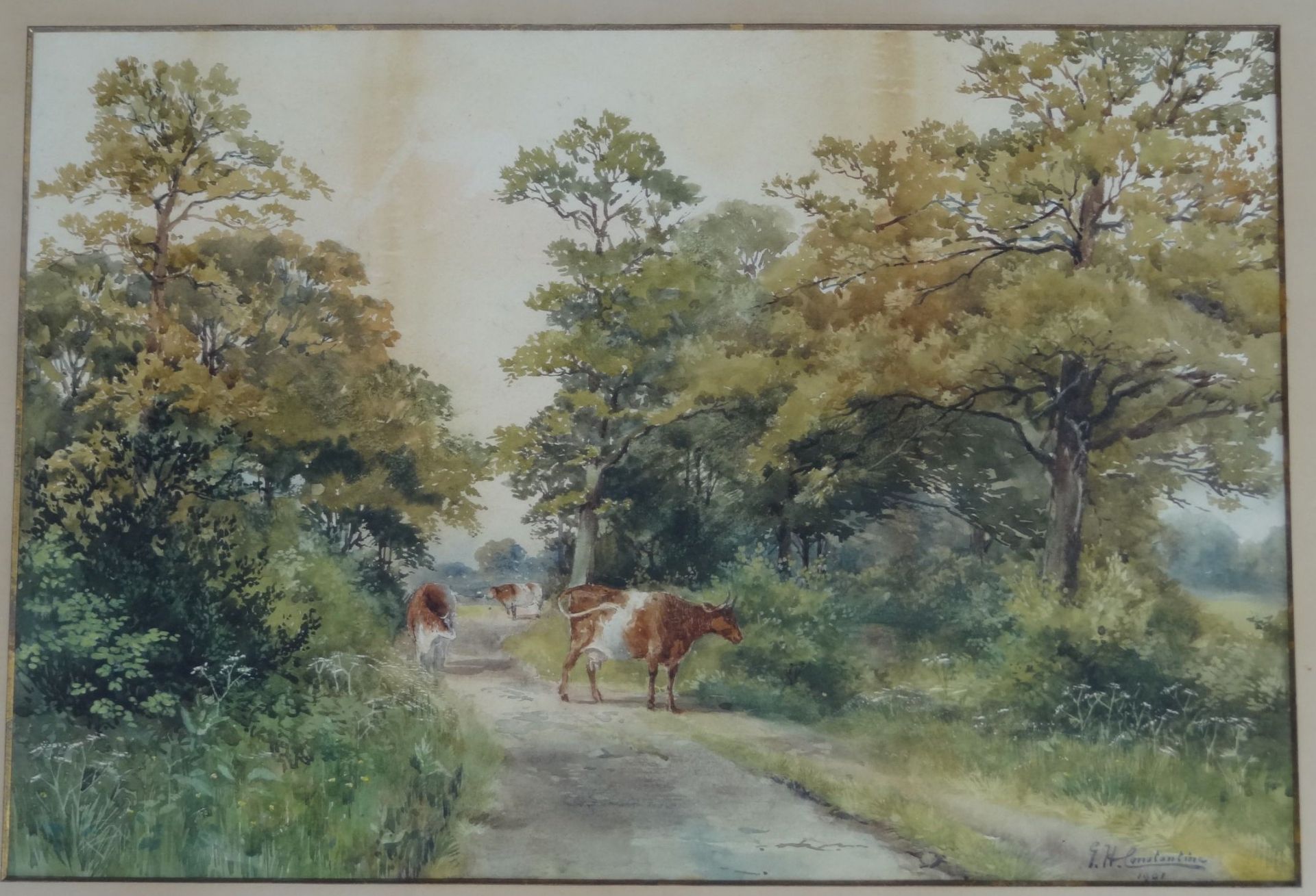 George Hamilton CONSTANTINE (1878-1967), 1901 "Kühe auf der Weide", Aquarell, alt ger/Glas, RG 60x75