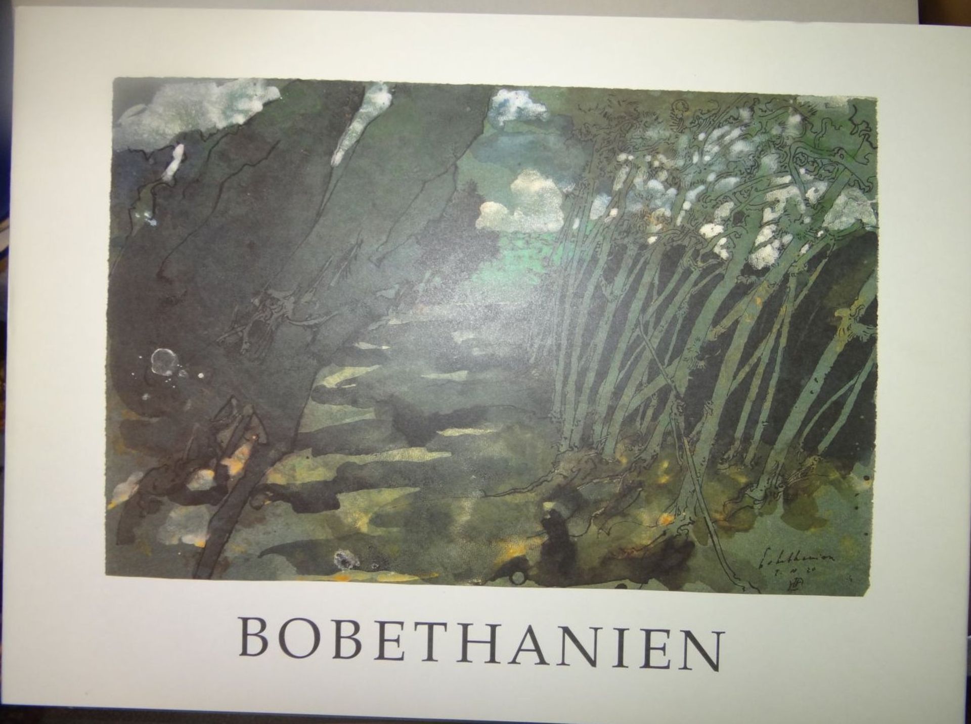 Horst JANSSEN (1929-1995), "Bobethanien" neuwertig im Schuber, 32x42 cm- - -22.61 % buyer's