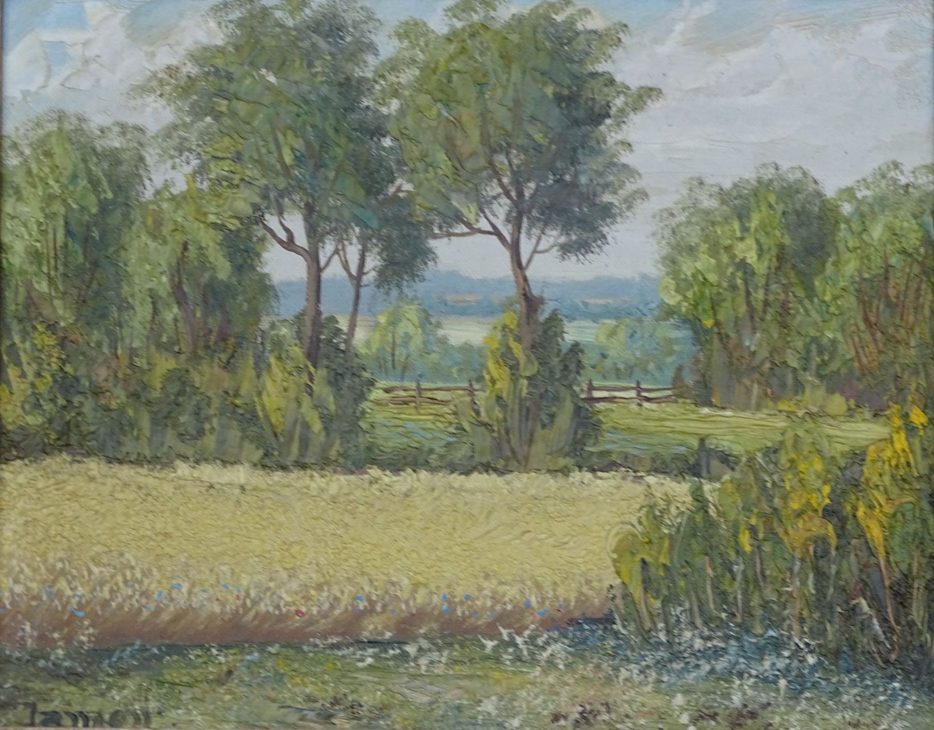 Janson "weite Landschaft" Öl/Leinen, gerahmt, RG 36x42 c- - -22.61 % buyer's premium on the hammer