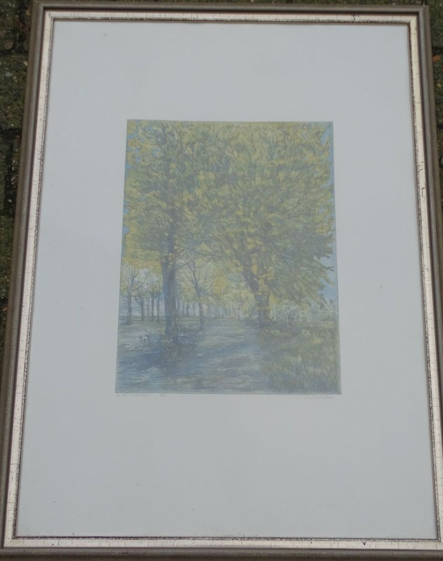 Friederike MICHELSEN (1923) "In derLindenallee" E.A., Lithografie, ger/Glas, RG 80x59 cm- - -22.61 % - Bild 2 aus 4