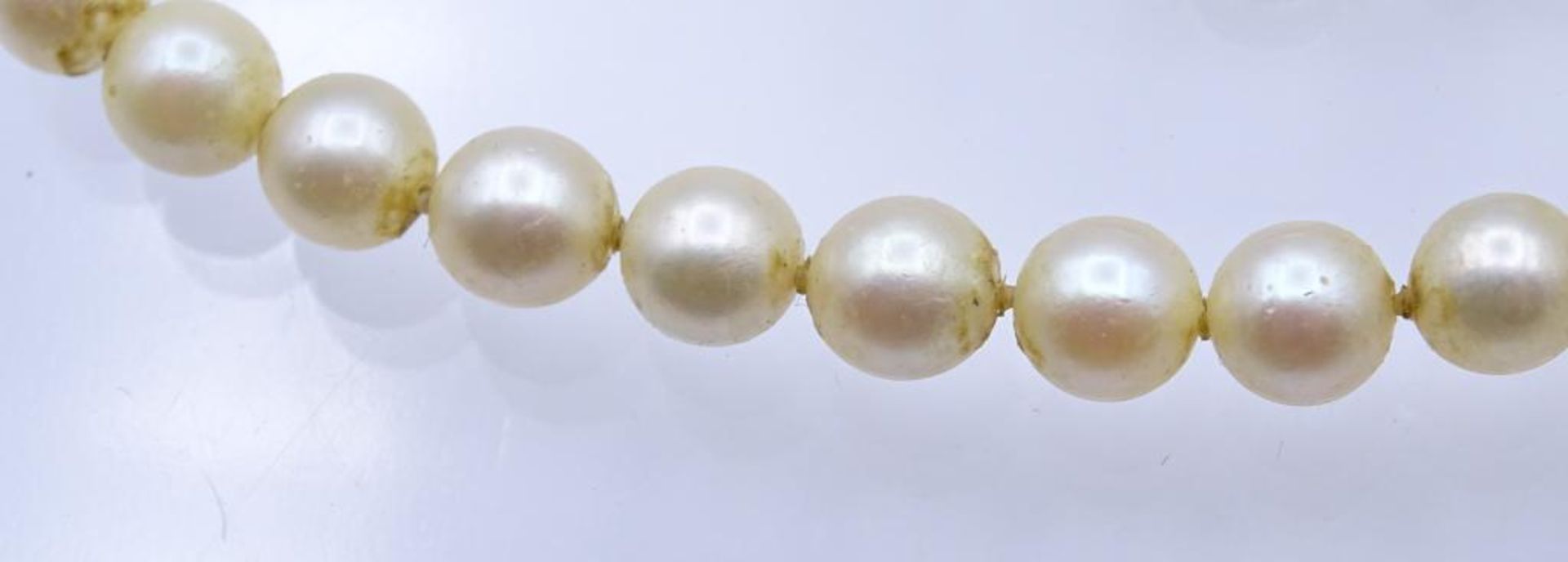 Kurze Perlen Halskette mit einer 585er GG Schließe,ca.L- 38,5cm, Perlen d- 6,4-6,8m- - -22.61 % - Bild 3 aus 4