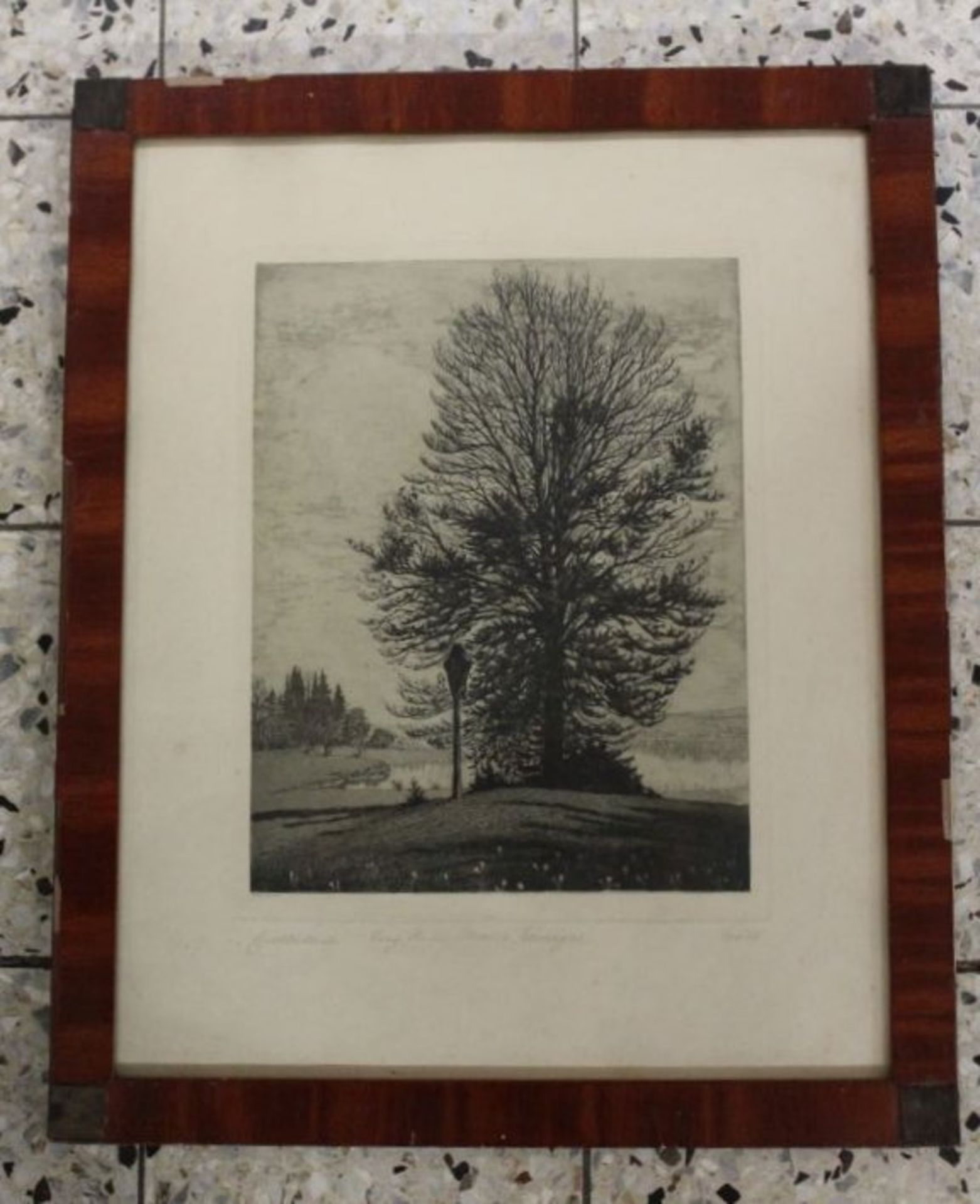 Maria NACHTIGAL (1869-?) , Baum, Radierung, ger./Glas, RG 50 x 41cm , Rahmen beschädig- - -22.61 % - Bild 3 aus 3