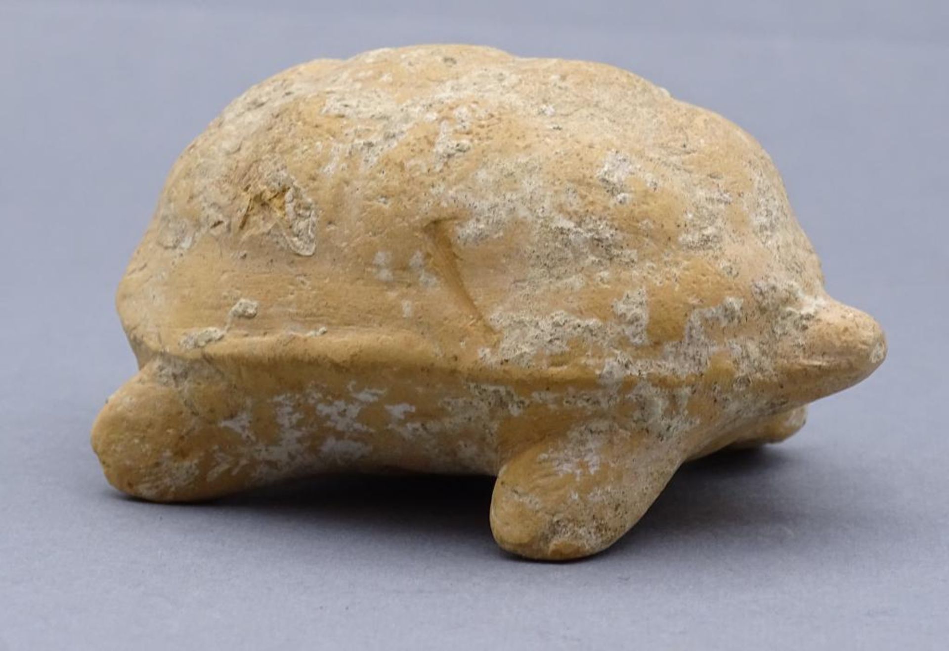 Schildkröte aus Ton, Fundort Böotien/Korinth, wohl 500 vor Christus, H-4 cm, L-6,5 cm, - Bild 3 aus 7