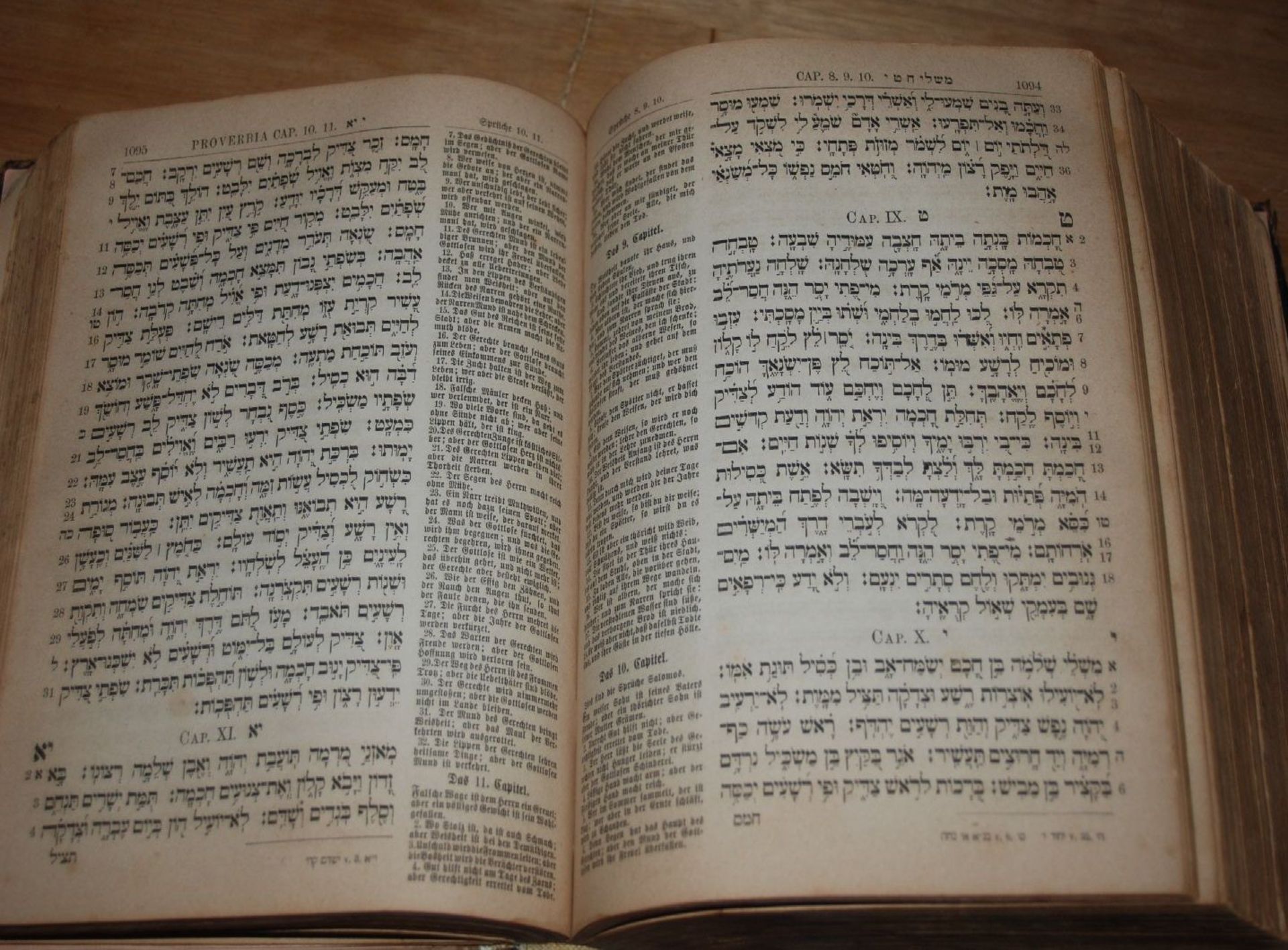Die heiligen Schriften des Altes Testamentes in hebräisch und deutsch, Wien 1872, Einband Alters- - Bild 7 aus 8