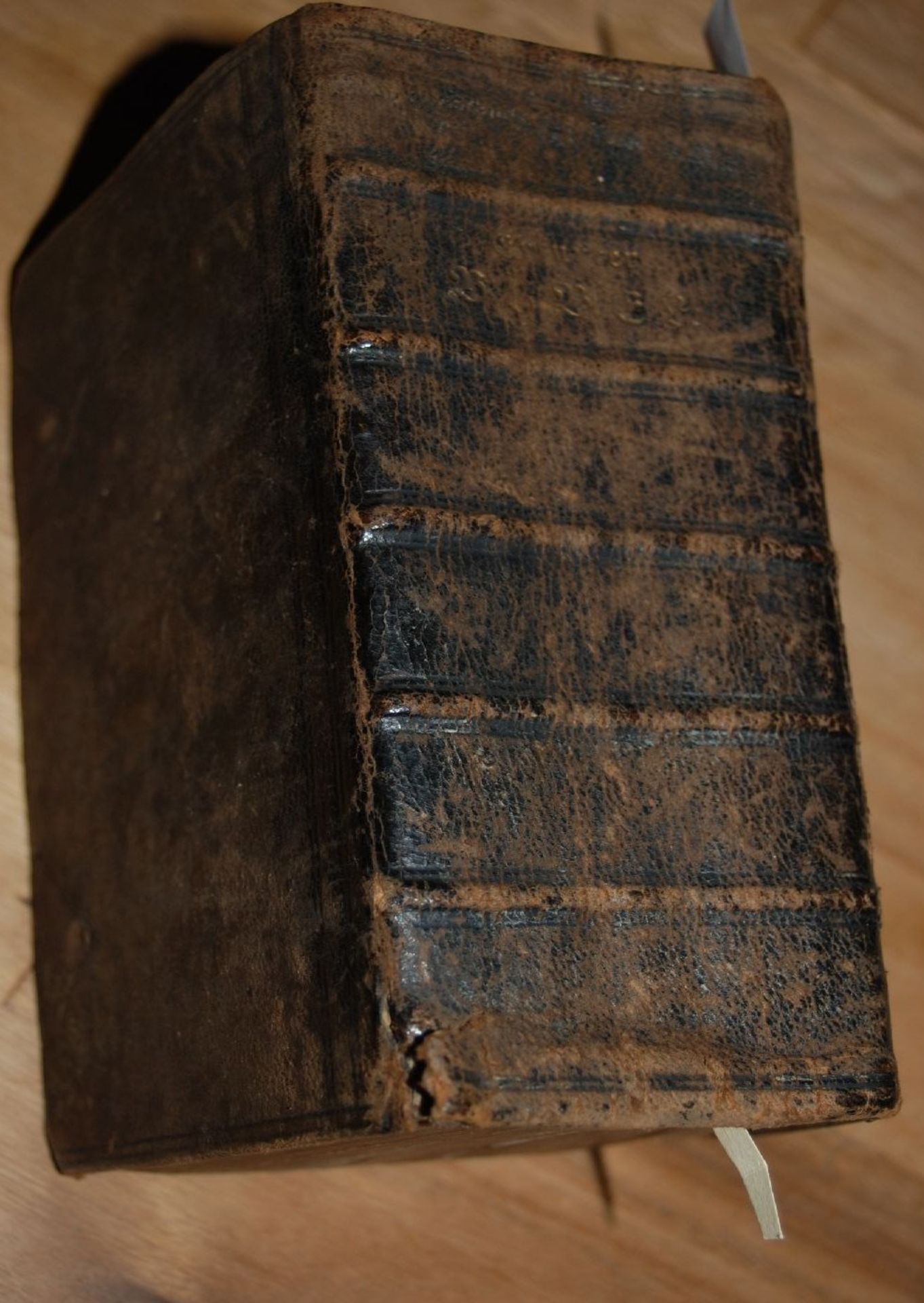 Biblia, das ist: Die gantze Heilige Schrifft, Alten und Neuen Testaments. Nach der Teutschen - Bild 3 aus 7