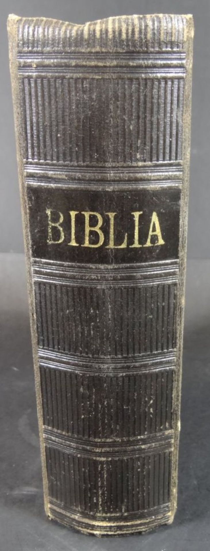 "Biblia" Die Hl. Schrift 1893, Halle, Alters-u. Gebrauchsspuren- - -22.61 % buyer's premium on the