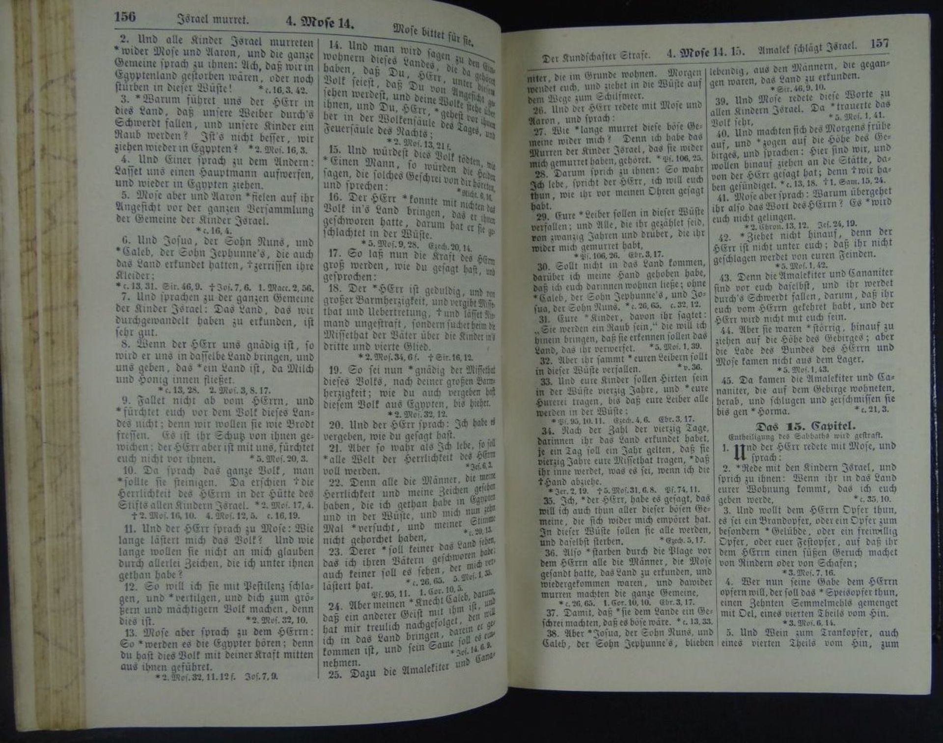 "Biblia" Die Hl. Schrift 1893, Halle, Alters-u. Gebrauchsspuren- - -22.61 % buyer's premium on the - Bild 3 aus 5