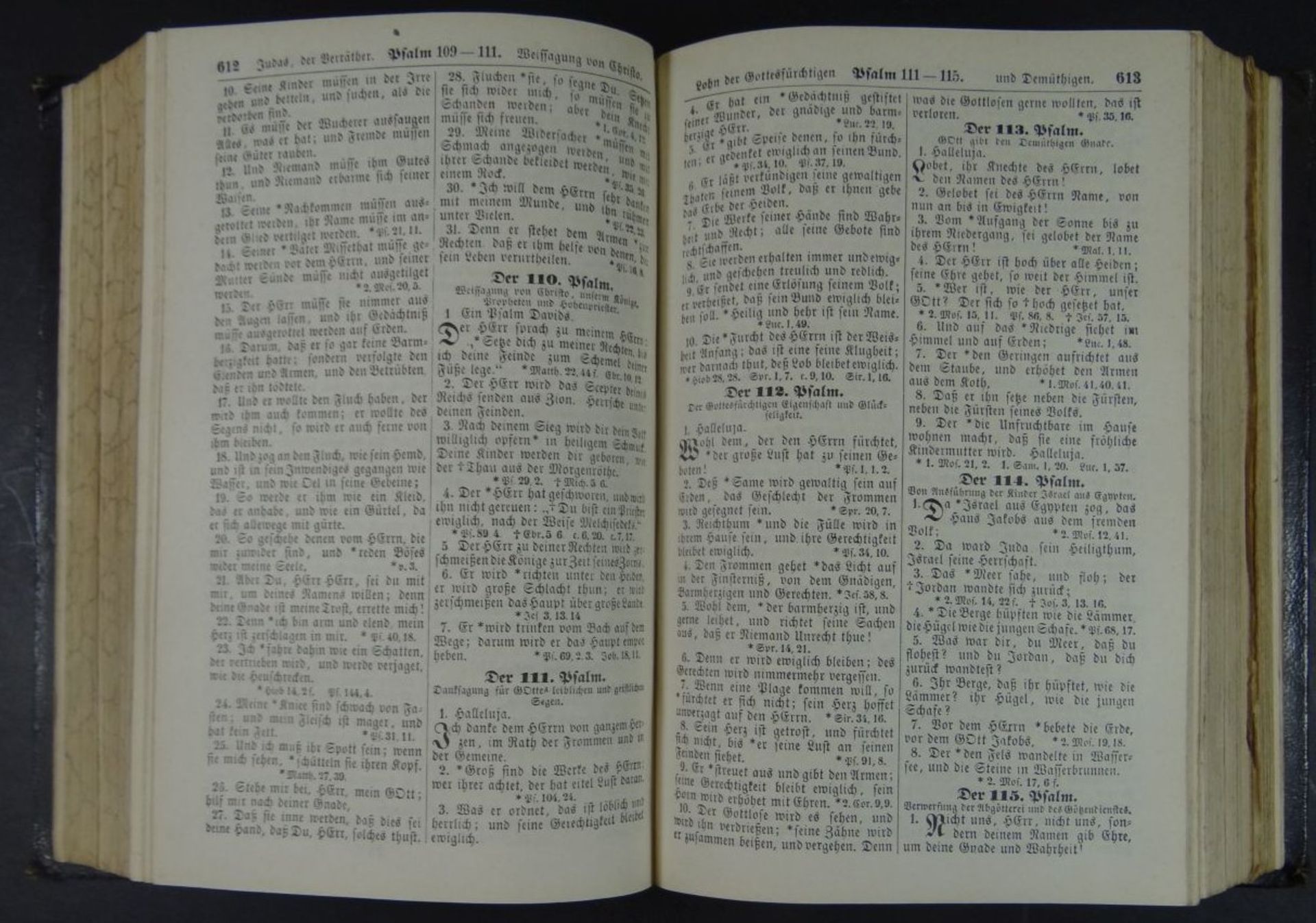 "Biblia" Die Hl. Schrift 1893, Halle, Alters-u. Gebrauchsspuren- - -22.61 % buyer's premium on the - Bild 4 aus 5