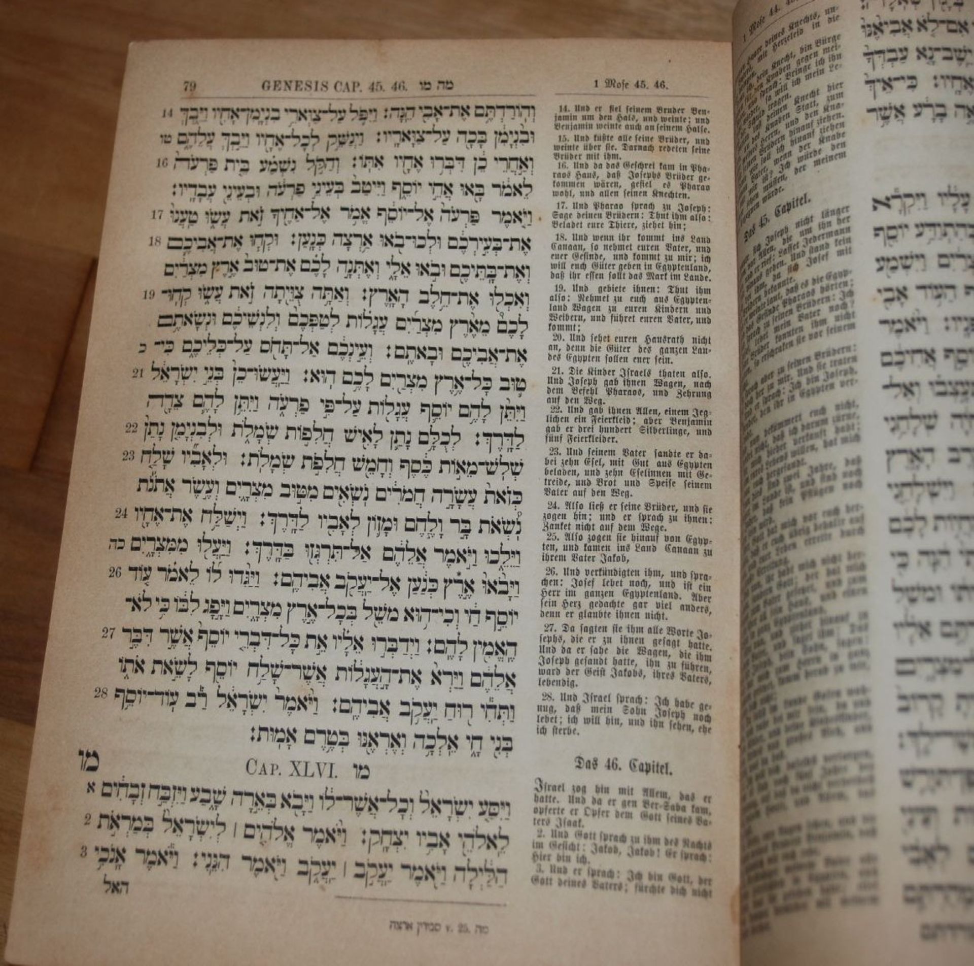 Die heiligen Schriften des Altes Testamentes in hebräisch und deutsch, Wien 1872, Einband Alters- - Bild 4 aus 8