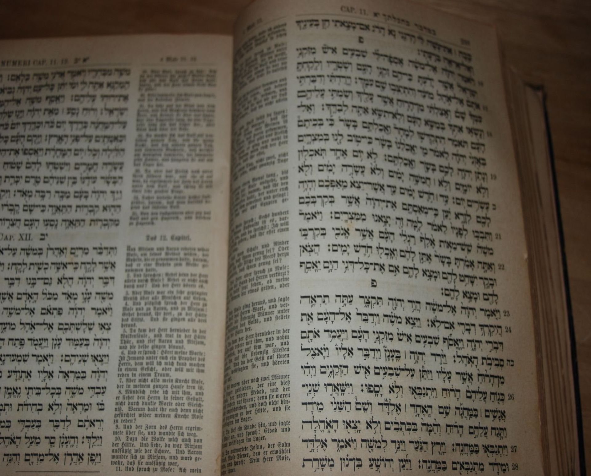 Die heiligen Schriften des Altes Testamentes in hebräisch und deutsch, Wien 1872, Einband Alters- - Bild 5 aus 8