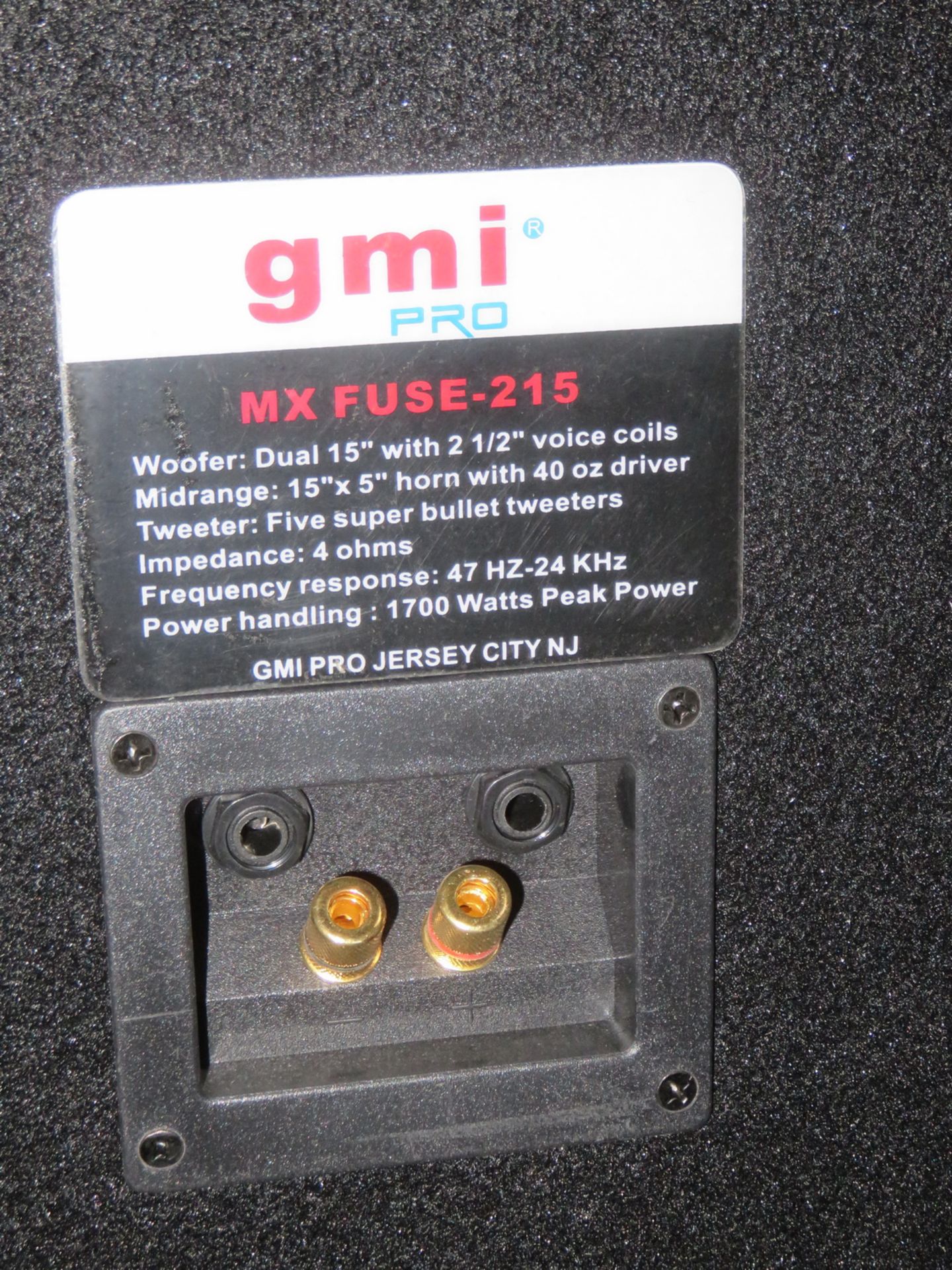 GMI PRO MODEL MX-215 FUSE SERIES DUAL 15" LOUDSPEAKER FULL RANGE LOUDSPEAKER (DISPLAY UNIT) - Bild 2 aus 3