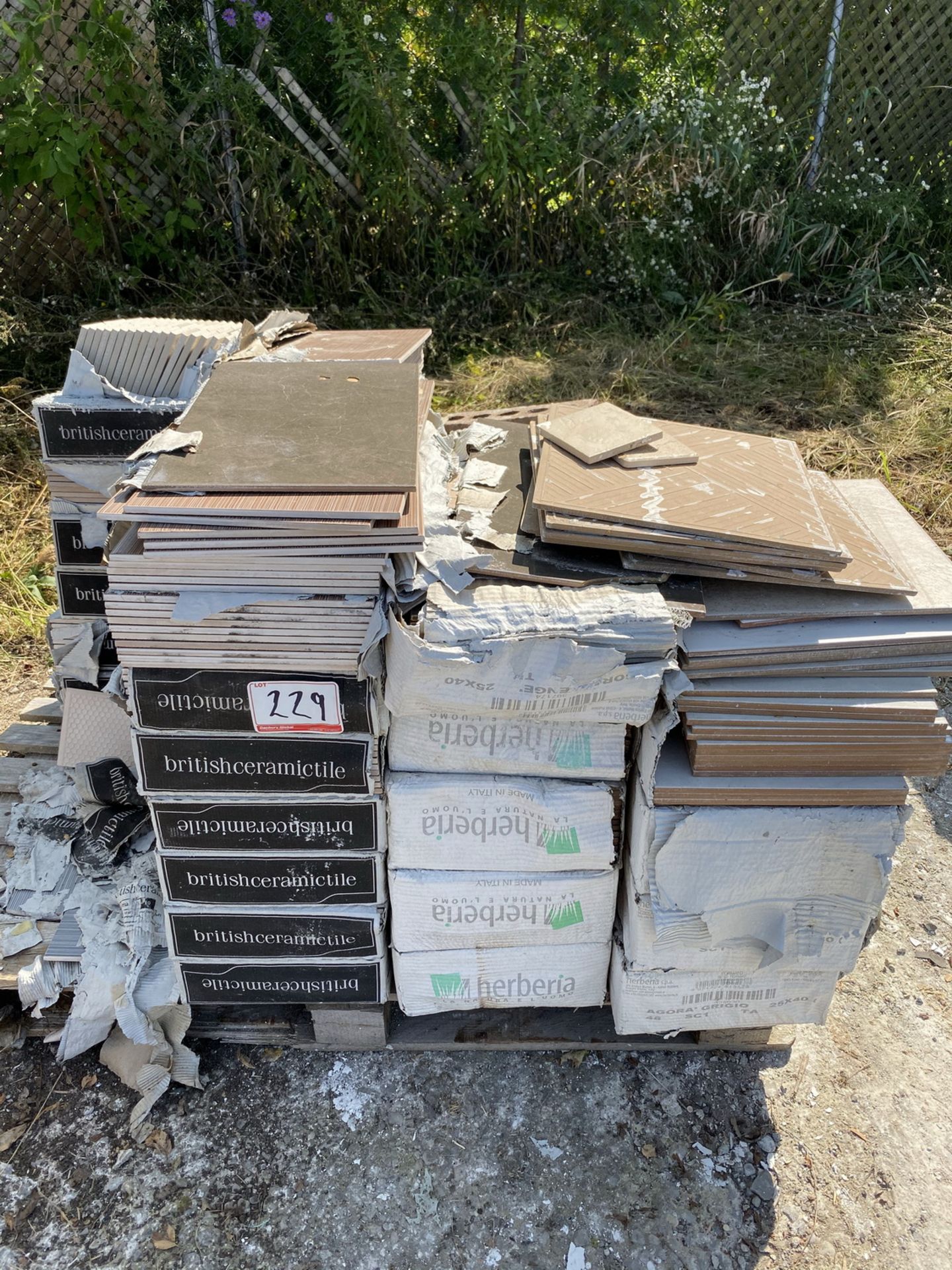 LOT - (2) SKIDS OF ASSORTED TILES - (LOCATED AT 680 GLOVER ROAD, HANNON, ONTARIO) - Image 2 of 2