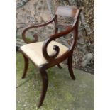 Regency carver chair, scroll arms and sabre legs, drop in seat