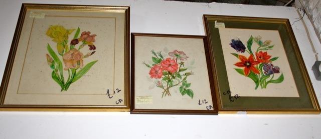 3 botanical water colours, framed and glazed