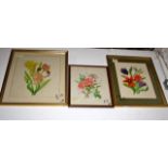 3 botanical water colours, framed and glazed