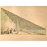 Hampton Court grape vines. Coloured, framed and glazed print published by S. Turrell Nov. 1840,