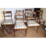 Set of six pre-war Regency style sabre leg dining chairs including 2 carvers