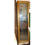 A tall, narrow, stripped pine hanging cupboard with panelled door featuring a full length mirror