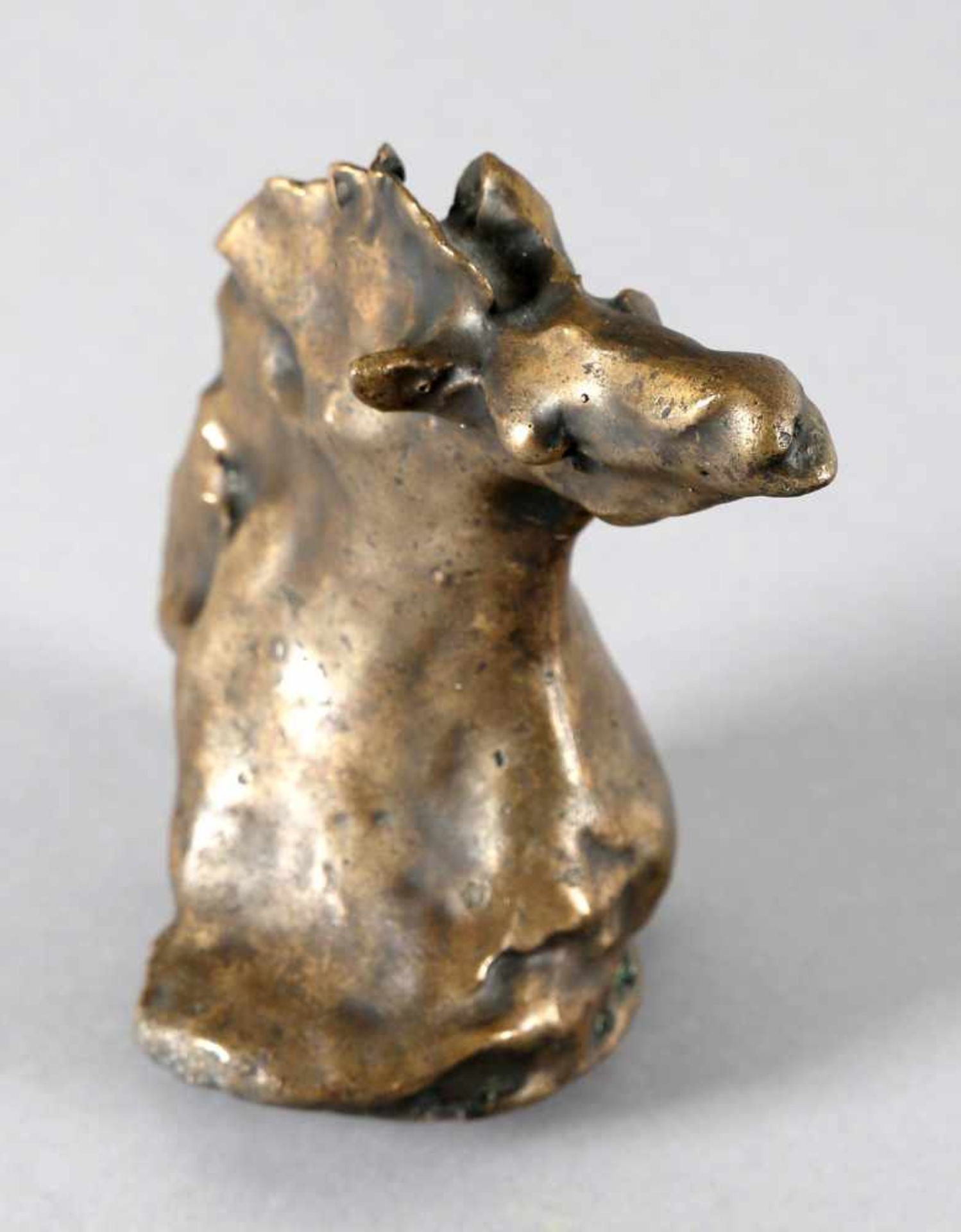 Hans Schröder (Saarbrücken 1930-2010 Saarbrücken)Pferdekopf, Bronze, Ende der 60er Jahre, gold- - Bild 2 aus 2