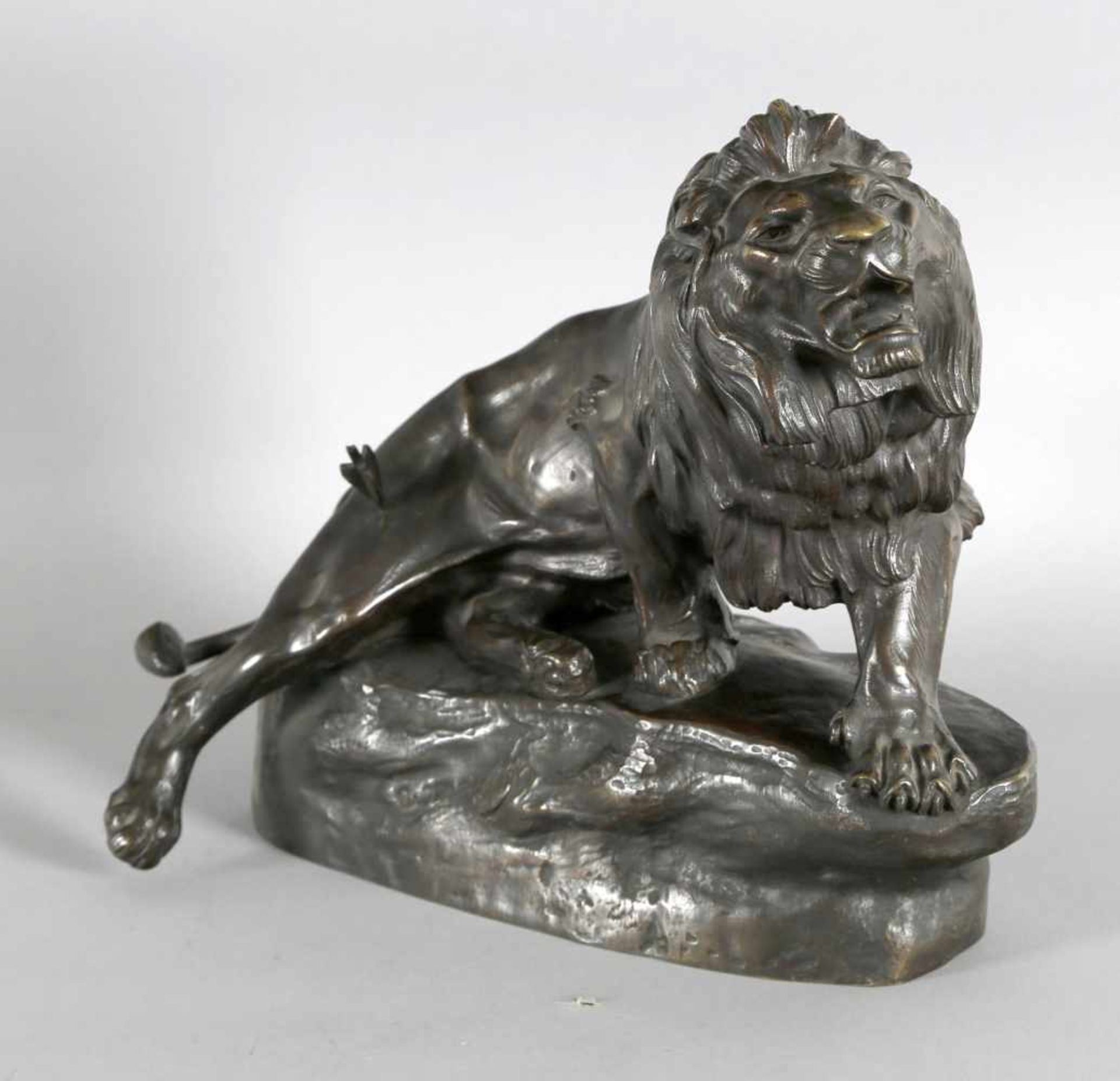 Clovis E. Masson (Paris 1838-1913 Paris)Bronzefigur "Brüllender verletzter Löwe", goldbraune Patina,
