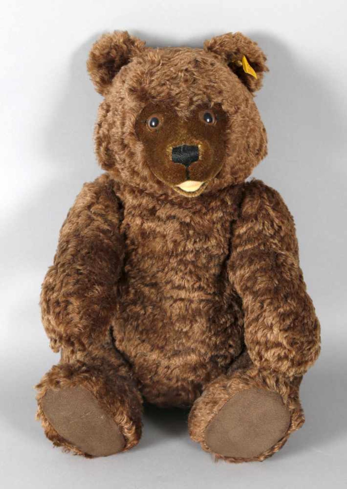 Steiff Teddybär Nr. 008542, um 1986/87braun, mit Stimmdose, Knopf im Ohr, Bezug 70 % Wolle und