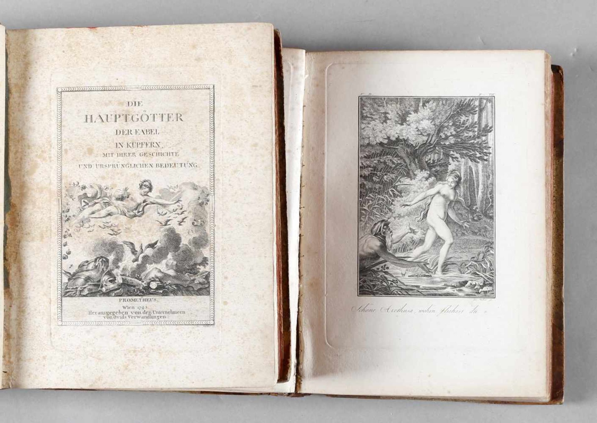 "Die Hauptgötter der Fabel in Kupfern", Ovids Verwandlungen, Wien 1793geprägte Pergamenteinbände (