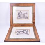 A pair of framed prints titled 'Perser' and 'Araber', each depicting horses, 20 cm x 27 cm, glazed