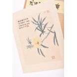 A portfolio of lithographic prints after Shen Zhou (1427-1509) comprising thirteen coloured works
