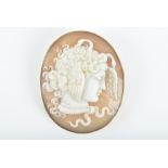 A 9ct yellow gold mounted cameo brooch depicting Medusa in side profile, ornately engraved with
