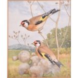 Noel Hubert Hopking (1883 -1964) British a scene of goldfinches perching on thistles, signed lower