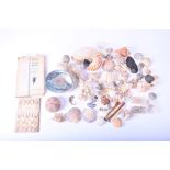 A collection of shells and natural sea-life to include various conchs, clams, corals and other